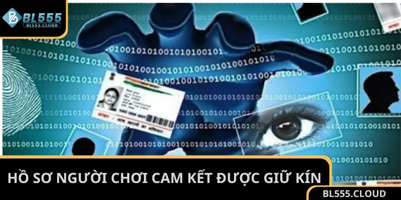 Hồ sơ người chơi cam kết được giữ kín