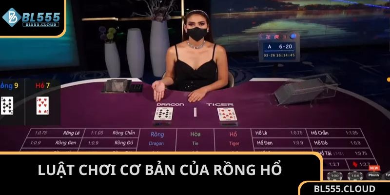 Luật chơi cơ bản của Rồng Hổ